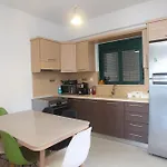 Zen 尼基亚娜
