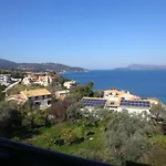Zen 尼基亚娜